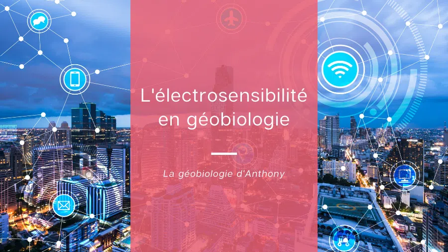L'ELECTROSENSIBILITE EN GEOBIOLOGIE