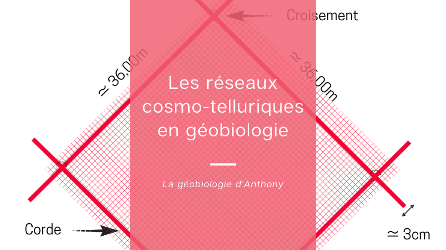 Les réseaux cosmo-telluriques en géobiologie