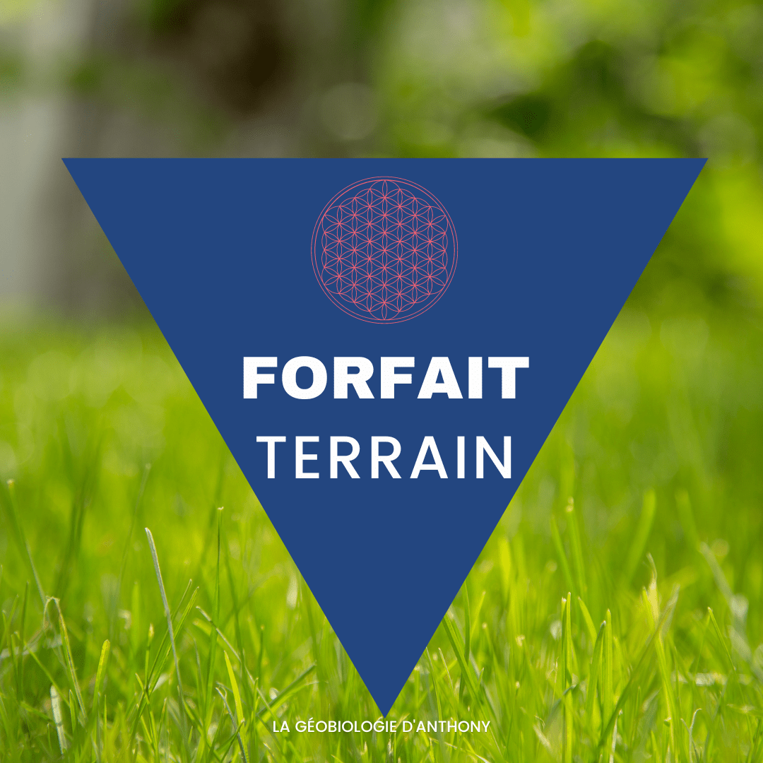 Expertise géobiologique du terrain à bâtir