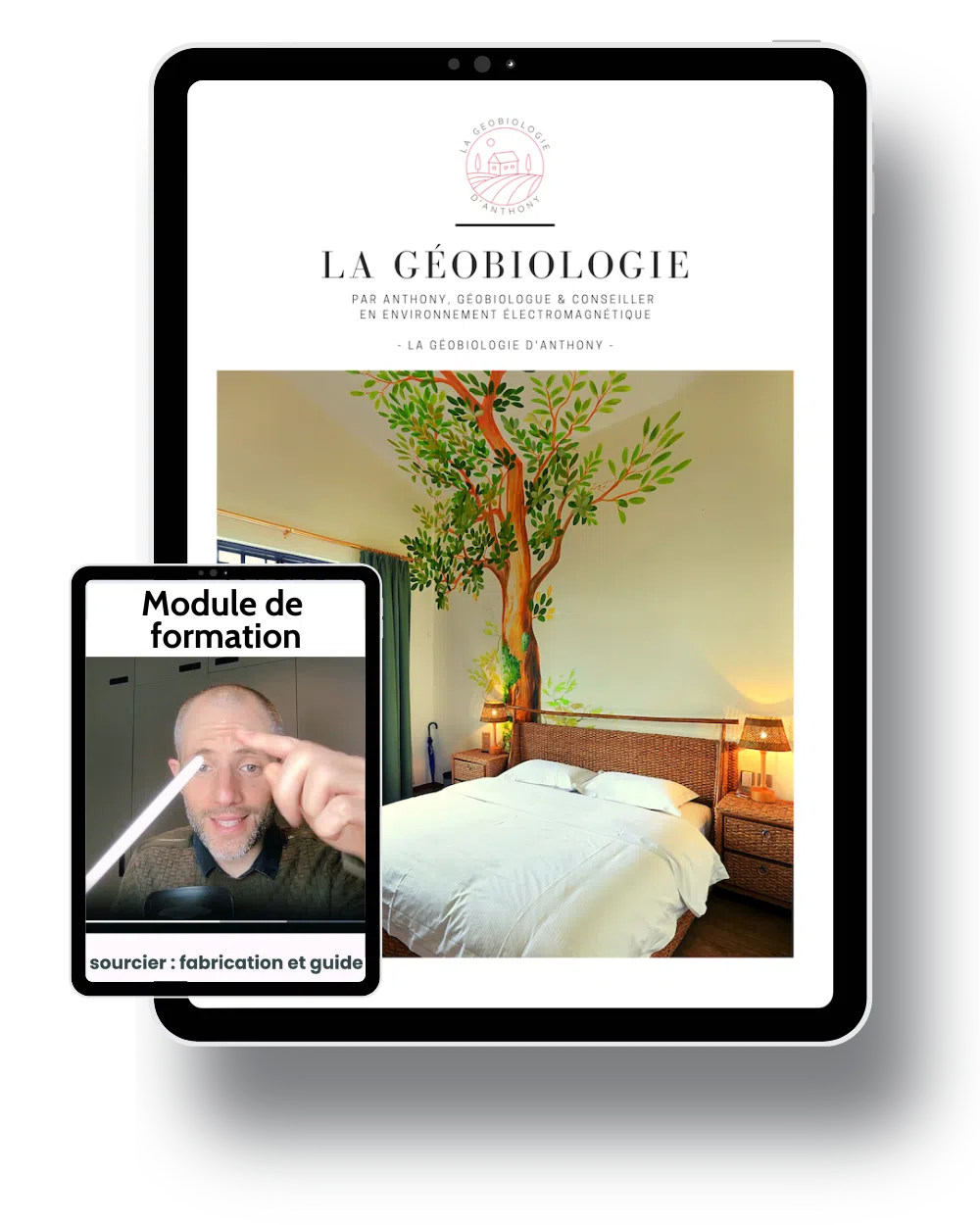Ebook géobiologie et module de formation gratuit