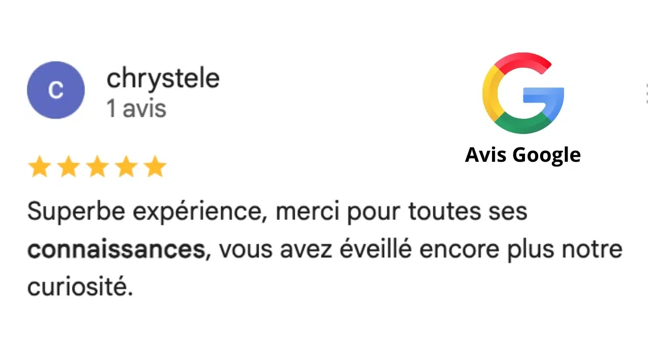 Avis google formation géobiologie 2